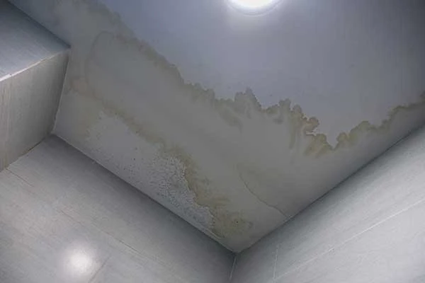 Common Causes for Leaky Roofs