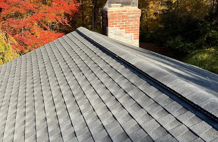 Do You Need a Roof Inspection? Here’s What to Expect