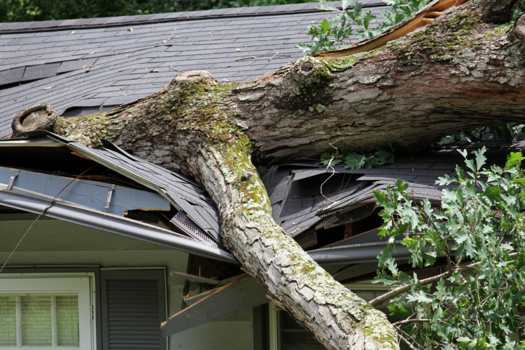 House need restoration after storm damage Danbury CT