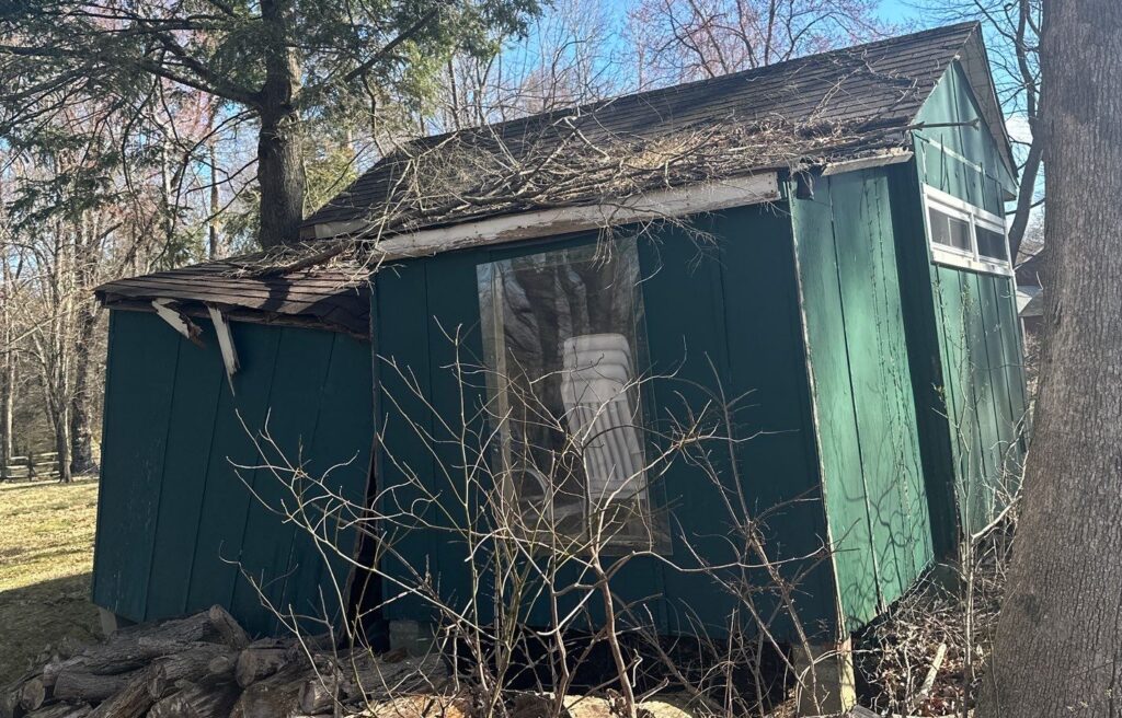 tree fell on shed, insurance claim emergency