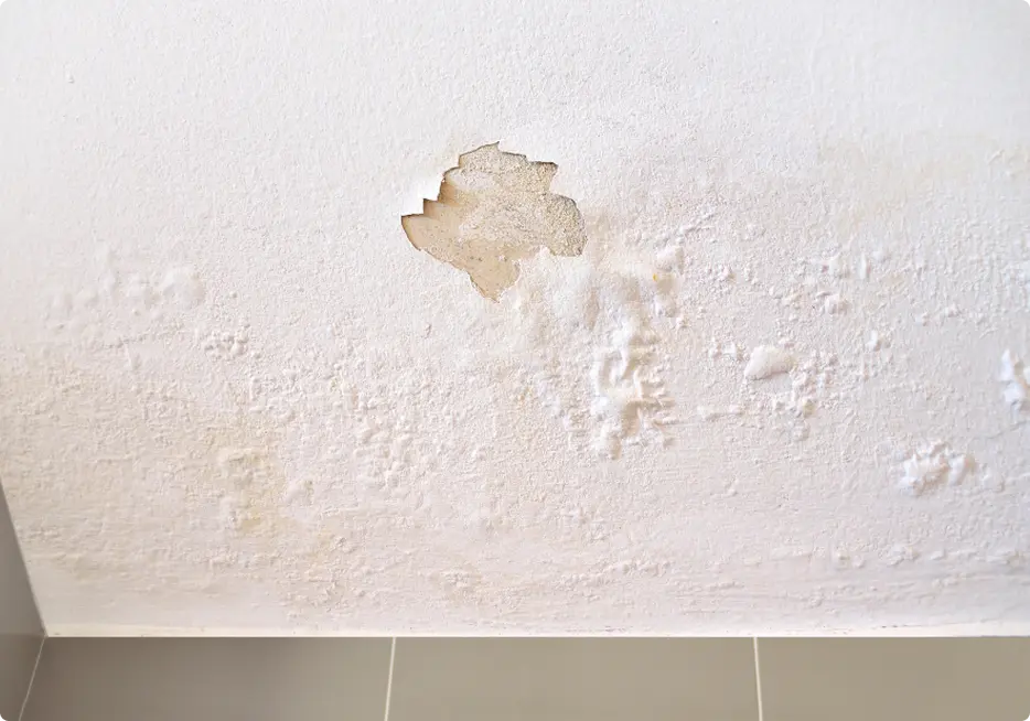 Sudden Roof Leaks & Water Intrusion