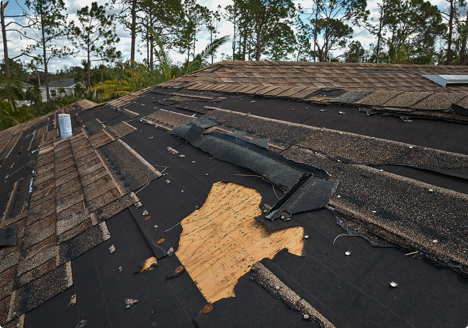 Storm Damage