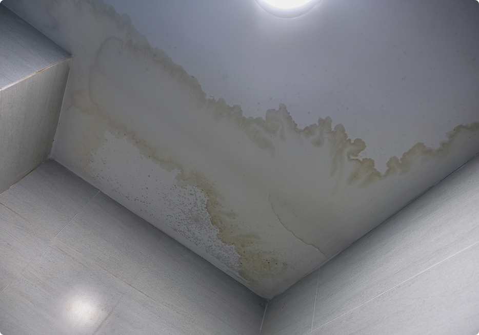 Leaking Piping