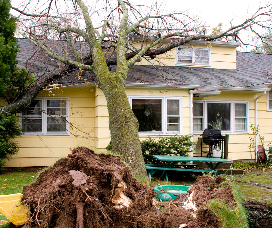 What to Do After a Storm: A Complete Homeowner’s Guide